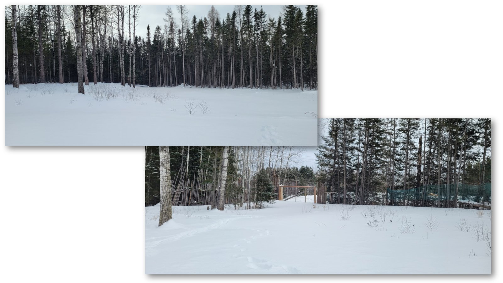 The property covered in snow