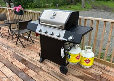 Propane BBQ